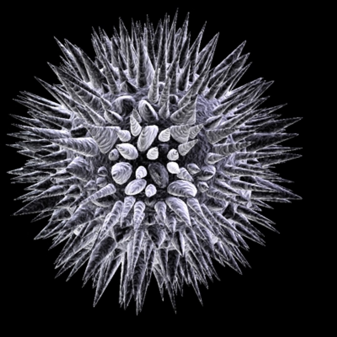 20 micro objects set 3d model https://p.turbosquid.com/ts-thumb/8m/XdeL2H/4q1l3QHP/virus20/jpg/1214229254/1920x1080/fit_q87/c4a779d2efec273cbb7997caf3f07cf74da53f51/virus20.jpg