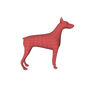 Doberman Pinscher base mesh