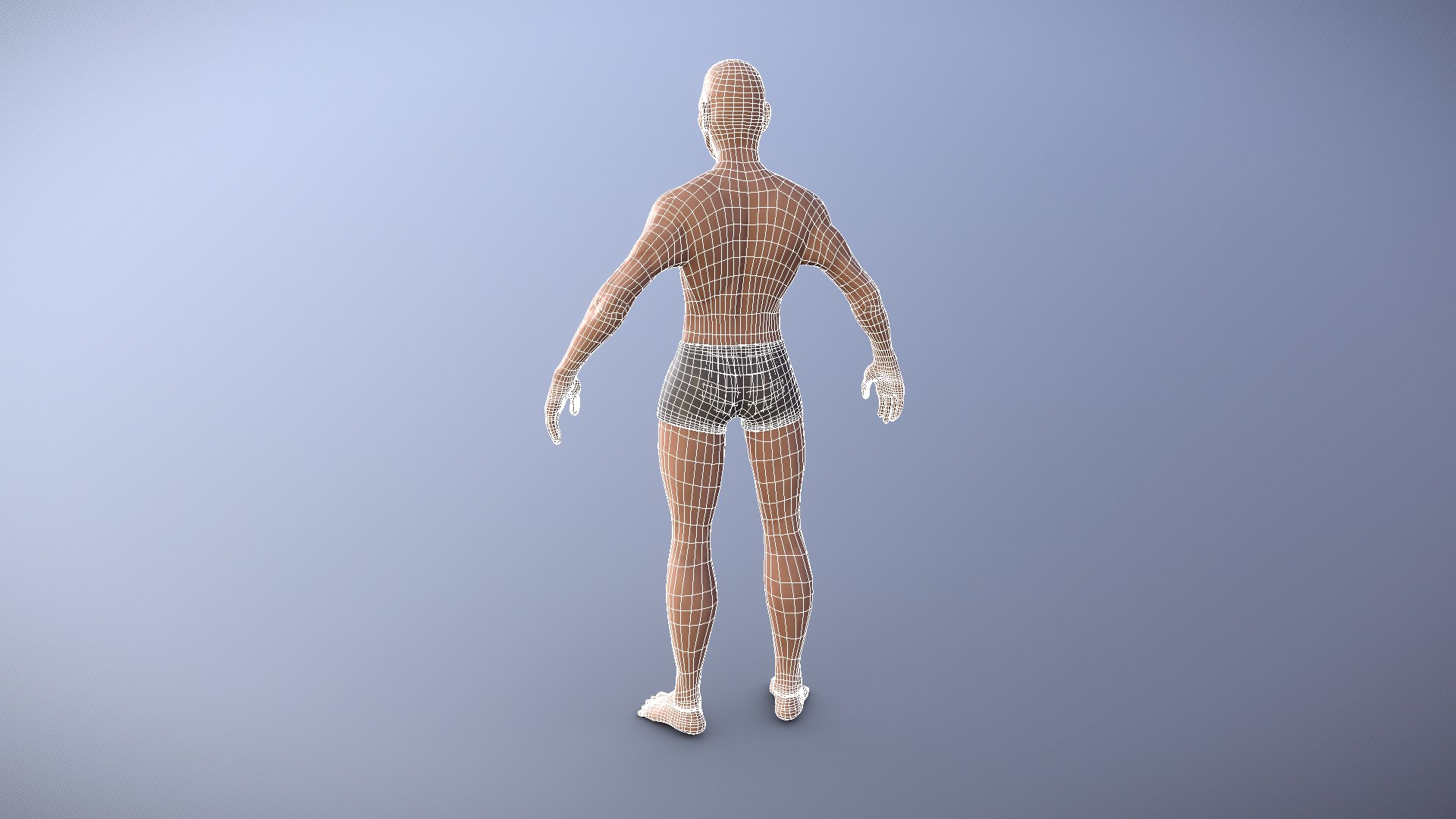 Stylized Male Base Mesh Low-poly 3D model 3D model - TurboSquid 1966846