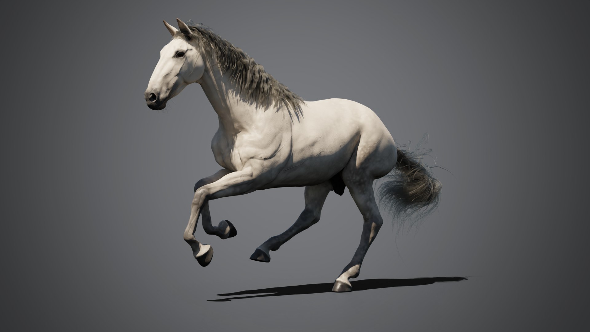 Equine pack 3D model https://p.turbosquid.com/ts-thumb/8n/XvhKBQ/Ez/05_andalusian/png/1774439035/1920x1080/fit_q87/b08c8ceae0097d3874d3d232ad1feafdfc72dc43/05_andalusian.jpg