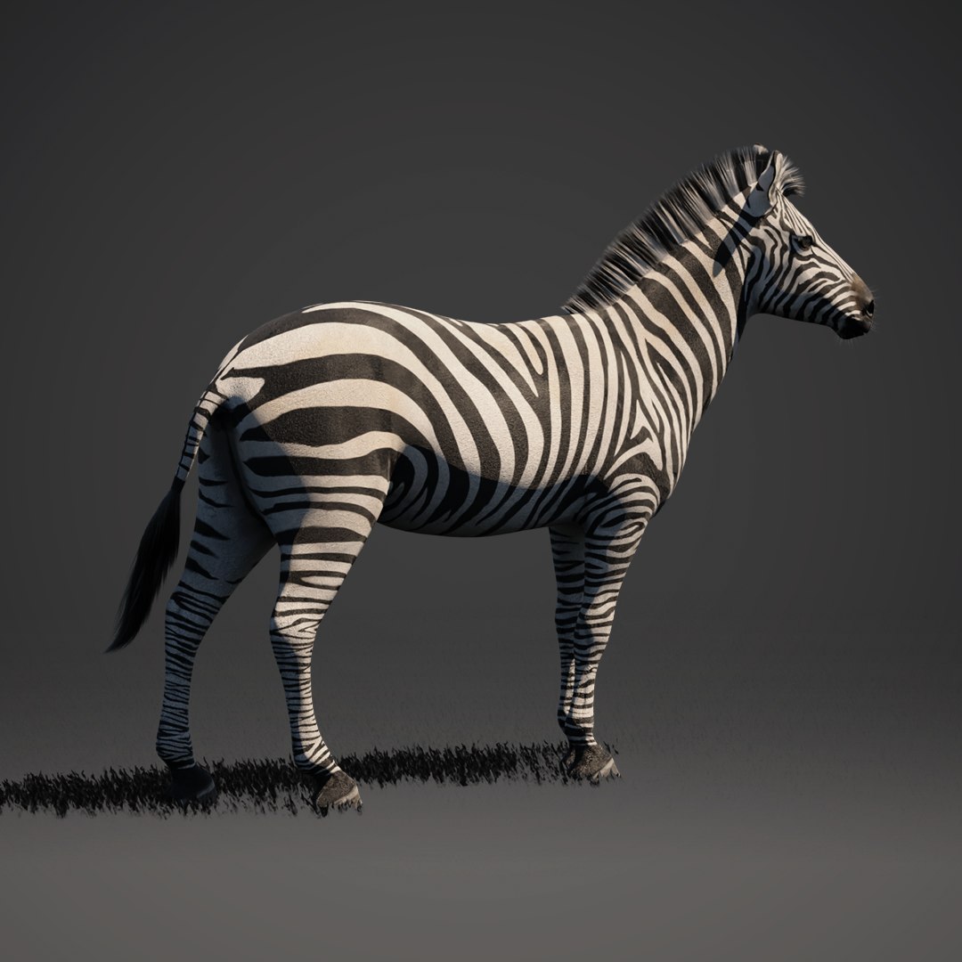 Equine pack 3D model https://p.turbosquid.com/ts-thumb/8n/XvhKBQ/HI/insta_04_compositing/png/1774439040/1920x1080/fit_q87/8c268229e27bd5039a279154e755ce8d3edc2532/insta_04_compositing.jpg