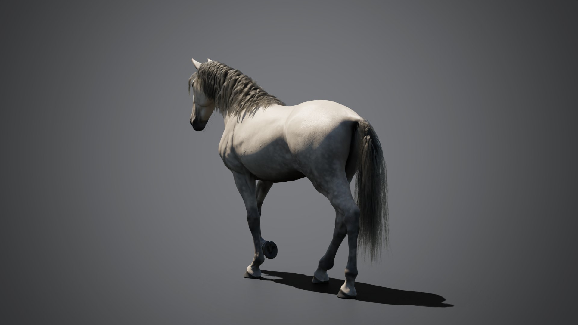 Equine pack 3D model https://p.turbosquid.com/ts-thumb/8n/XvhKBQ/Ri/07_andalusian/png/1774439036/1920x1080/fit_q87/b7ab08c806ca0e68f624dde5513717064703fa0a/07_andalusian.jpg