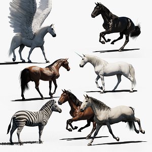 Equine pack