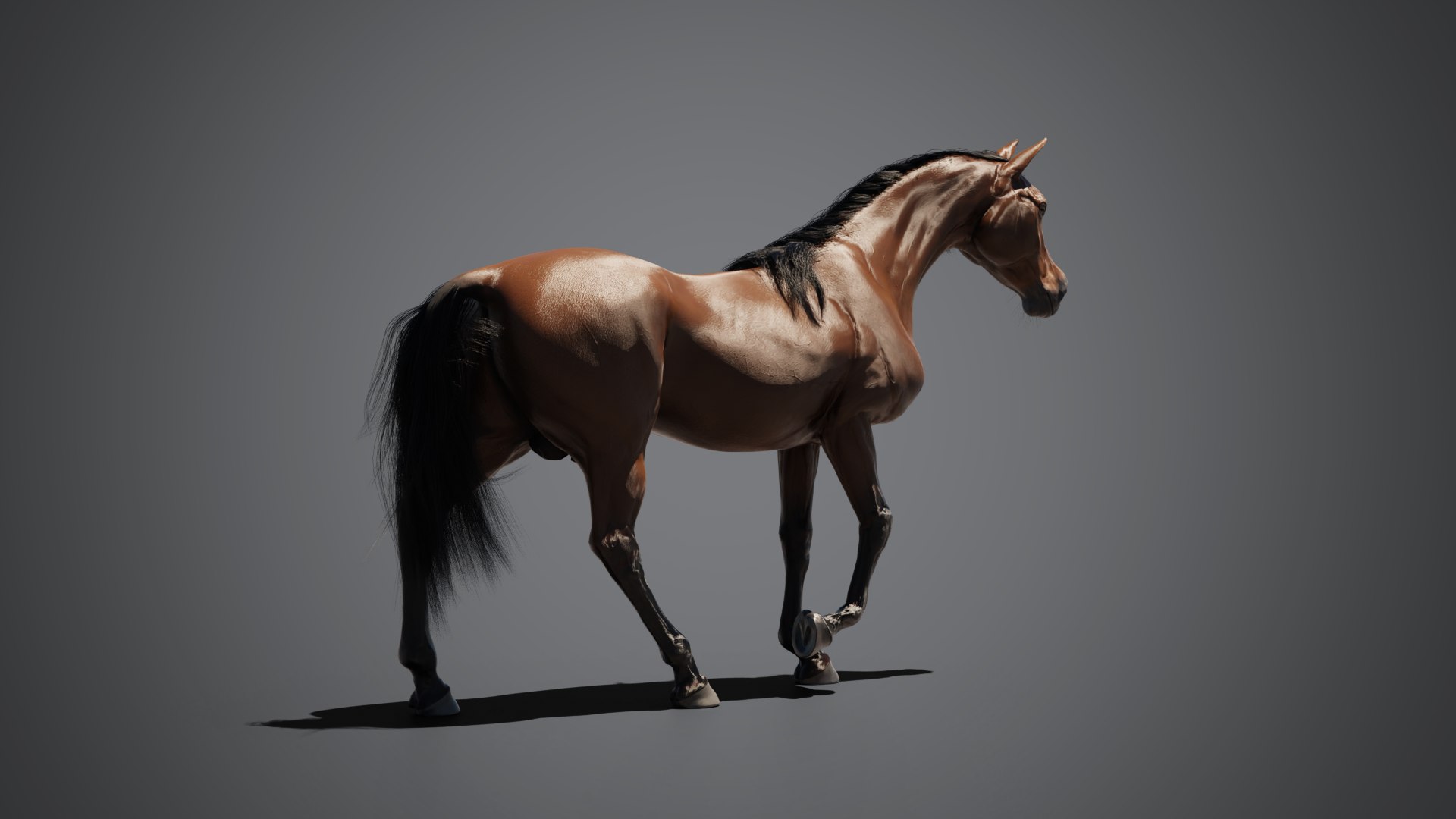 Equine pack 3D model https://p.turbosquid.com/ts-thumb/8n/XvhKBQ/k6/03_compositing/png/1774439045/1920x1080/fit_q87/f026b027d4bce2d4583769fdf16f5ff8d760206c/03_compositing.jpg