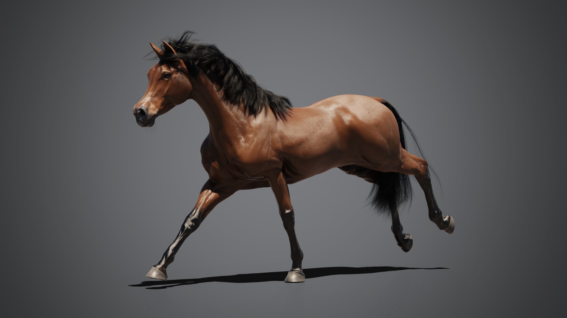 Equine pack 3D model https://p.turbosquid.com/ts-thumb/8n/XvhKBQ/oB/01_arabian/png/1774439041/1920x1080/fit_q87/f03d36a77081e91a5c65ab6c5637b0c12201d8d4/01_arabian.jpg