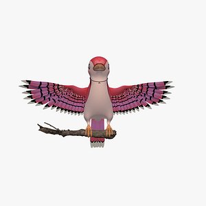 Bird 3D Rigged F