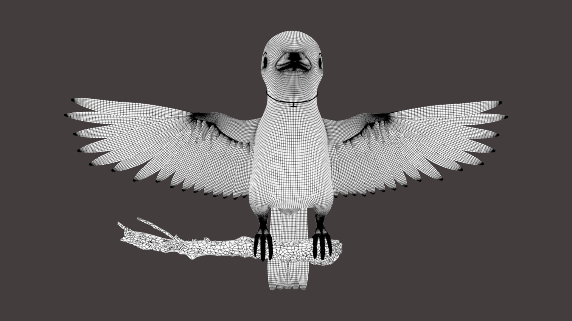 Bird 3D Rigged F 3D Model - TurboSquid 2247004