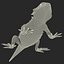 bearded dragon 3ds