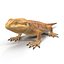 bearded dragon 3ds