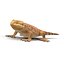 bearded dragon 3ds