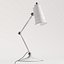 Antonio Articulating Task Lamp