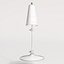 Antonio Articulating Task Lamp