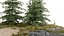 Floresta