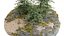 Floresta