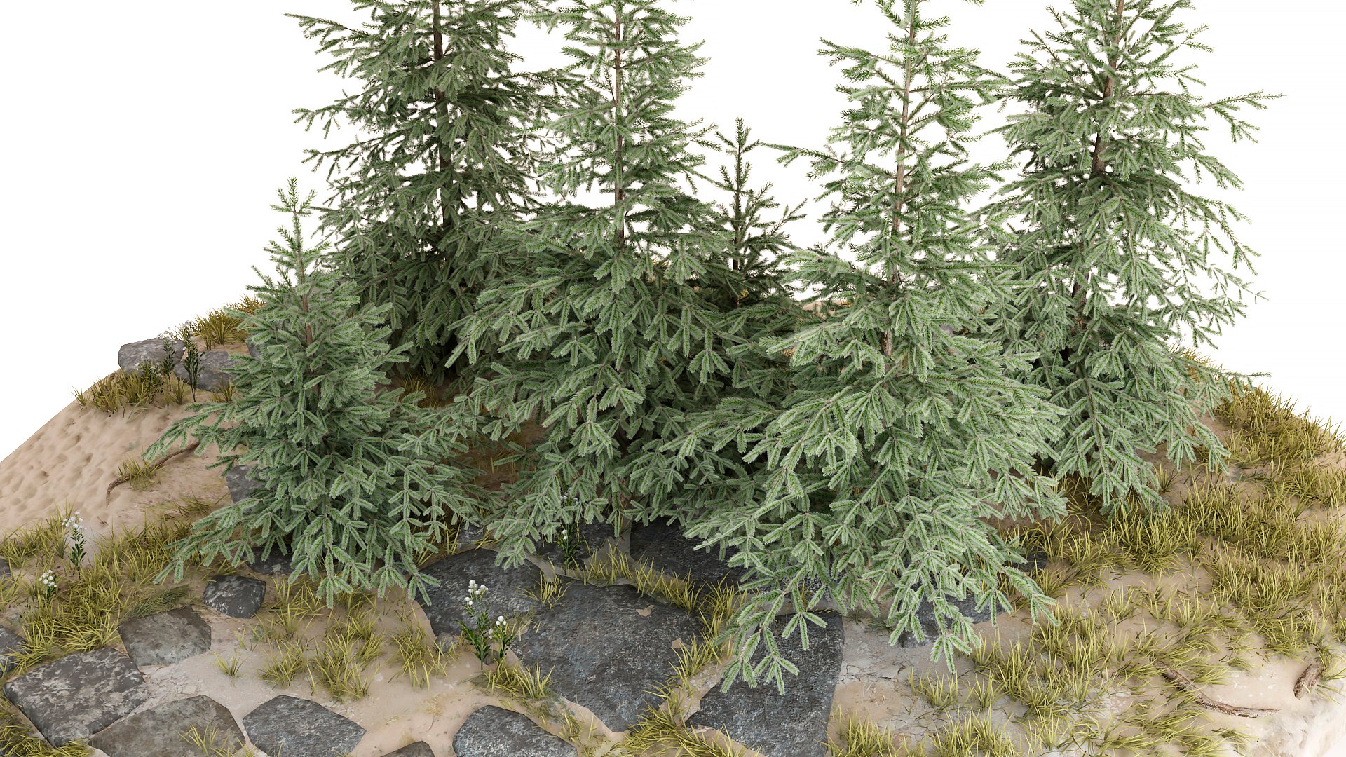 Forest 3D https://p.turbosquid.com/ts-thumb/8n/mVtg4S/Ig/img16/jpg/1687533404/1920x1080/fit_q87/ed8ee6ec04c87f62d03b2bb1e45fcd8fdffb049c/img16.jpg