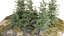 Floresta