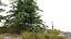 Floresta