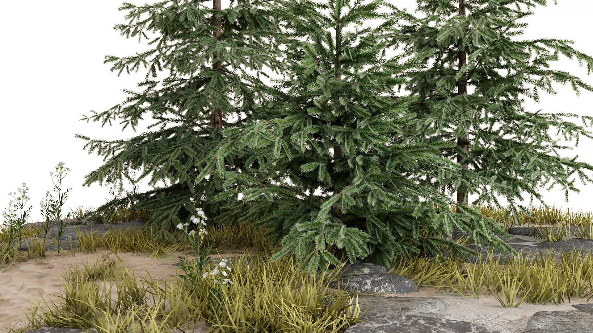 Forest 3D https://p.turbosquid.com/ts-thumb/8n/mVtg4S/Ti/img1/jpg/1687533387/1920x1080/fit_q87/a10638735ba09b2fa9e62e0d97ea2fc998db6f2a/img1.jpg