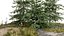 Floresta