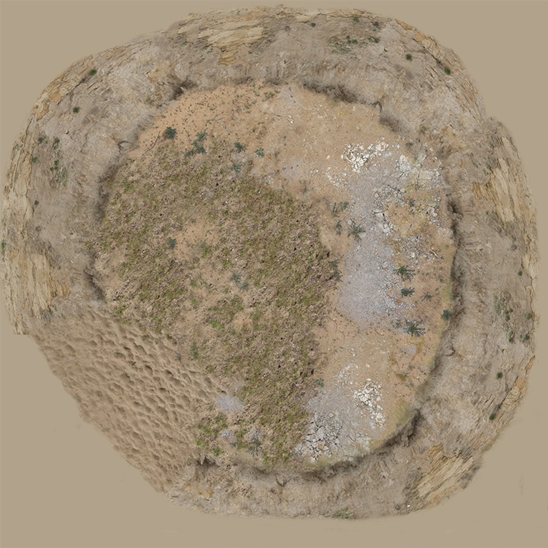 Forest 3D https://p.turbosquid.com/ts-thumb/8n/mVtg4S/UL/mask_ground800/jpg/1687533855/1920x1080/fit_q87/587c528536a06430da77b2242a708d079c0cbb59/mask_ground800.jpg