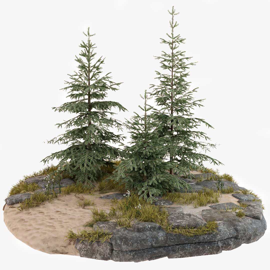 Forest 3D https://p.turbosquid.com/ts-thumb/8n/mVtg4S/Wd/1200_3_247/jpg/1687533348/1920x1080/fit_q87/fd097a06e86d3675b84a9ad935a003e705007901/1200_3_247.jpg
