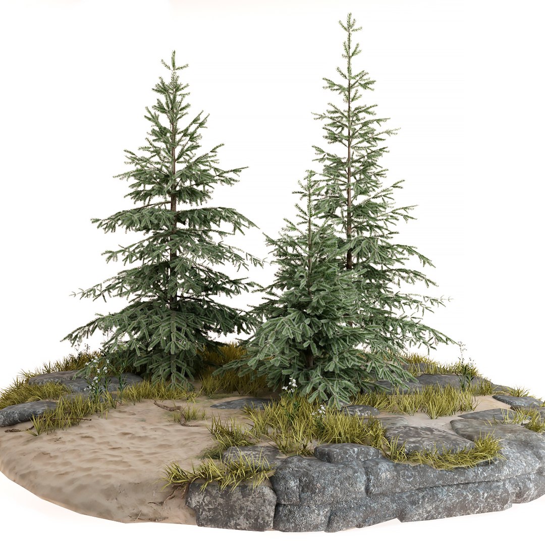 Forest 3D https://p.turbosquid.com/ts-thumb/8n/mVtg4S/en/1200/jpg/1687533380/1920x1080/fit_q87/5e32825b7d346e02b42cac20d55f48ac4241b080/1200.jpg