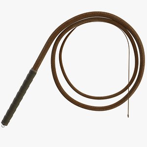 whip lasso 3D model