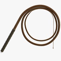 Whip Lasso