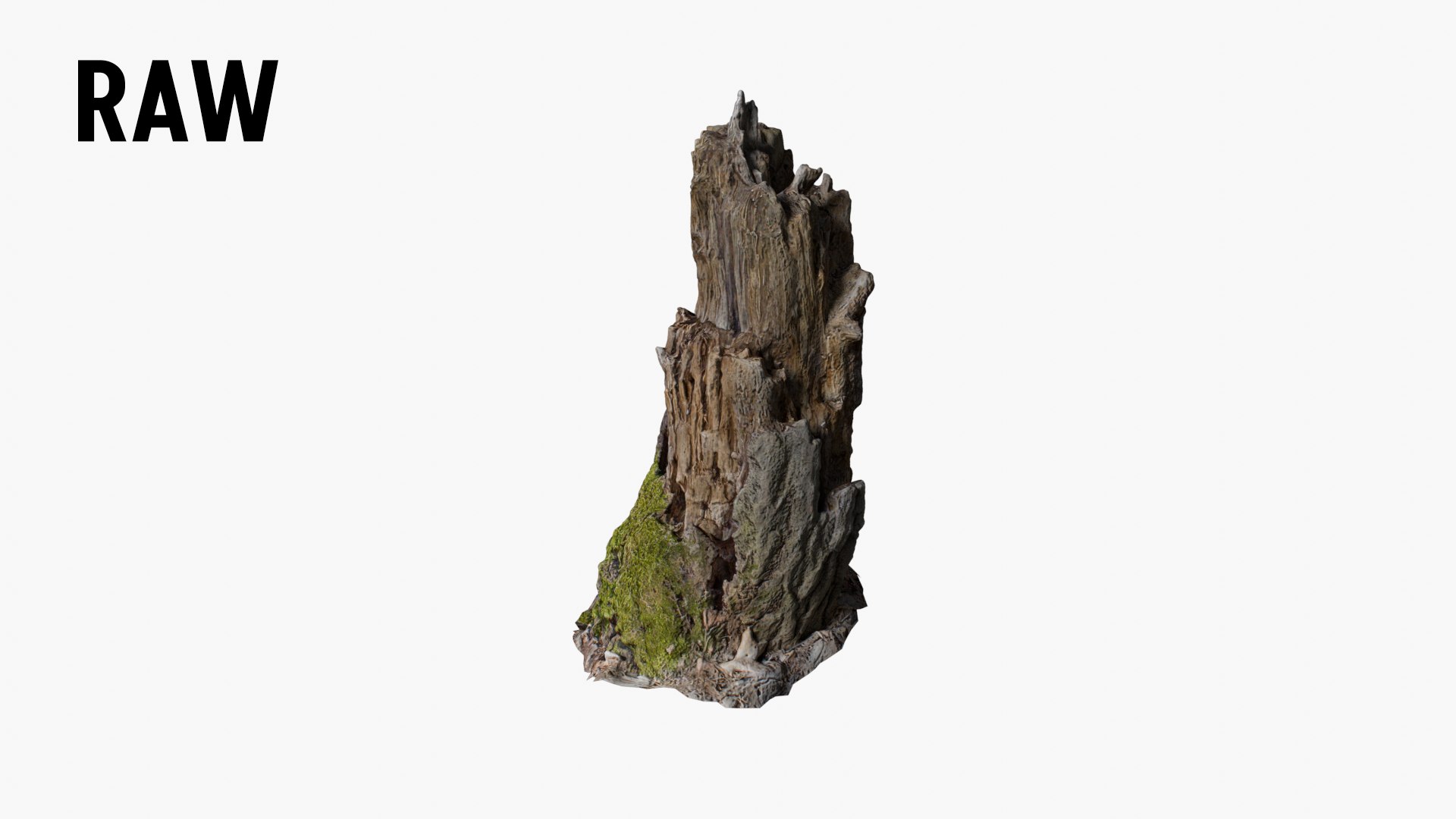3D model Tree Stump 002 https://p.turbosquid.com/ts-thumb/8o/ARLwNh/I6/raw/png/1682698747/1920x1080/fit_q87/19434c6f65710500f0ca6b576e122e7918762d0f/raw.jpg