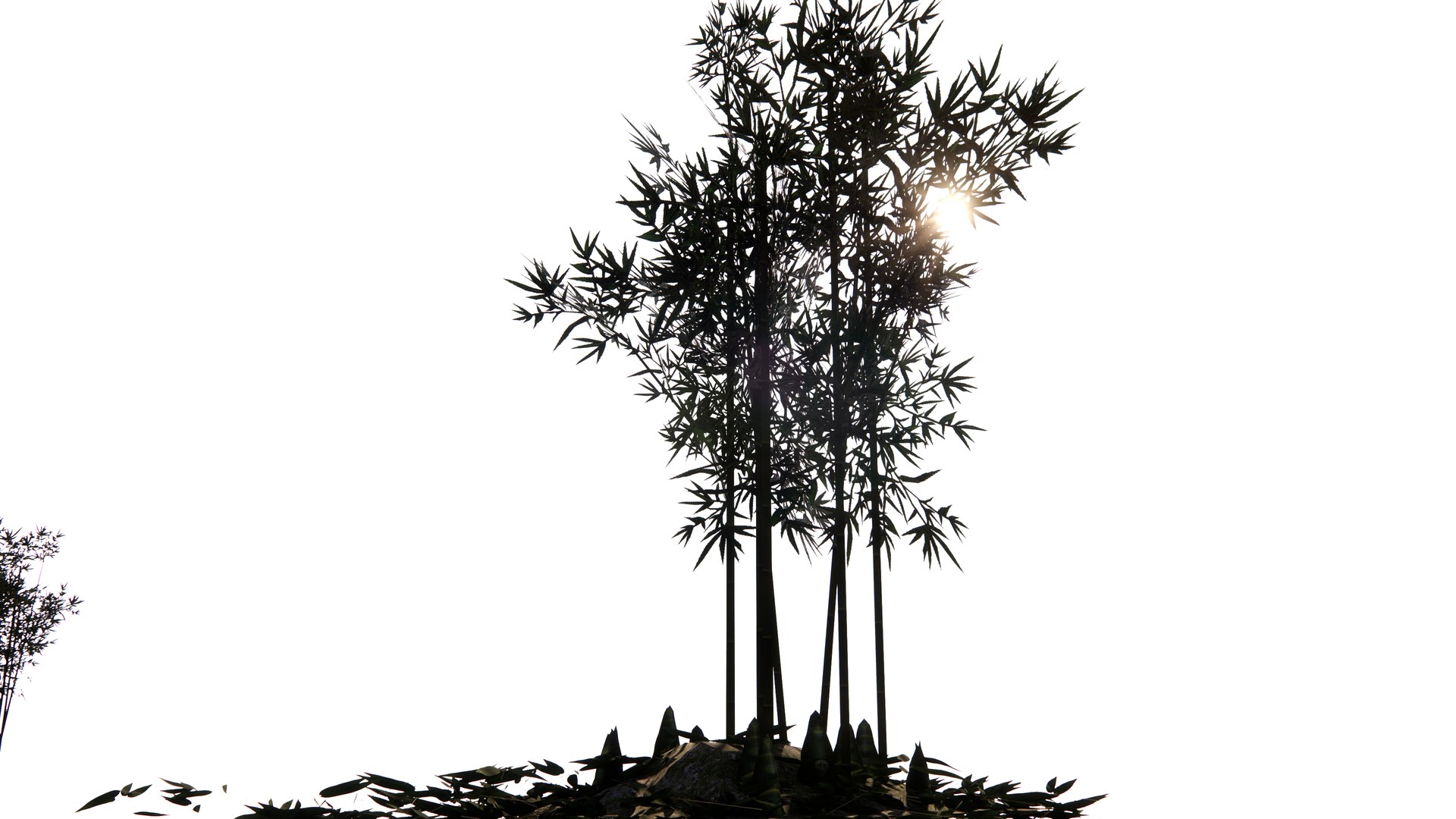 Bamboo Bauhinia Akeana for Landscape Architect ENSCAPE 3D https://p.turbosquid.com/ts-thumb/8o/HWjsce/nj/enscape_20241001205738/png/1727787554/1920x1080/fit_q87/5442c37008638d51e6ab3ba02b76772694449ffc/enscape_20241001205738.jpg