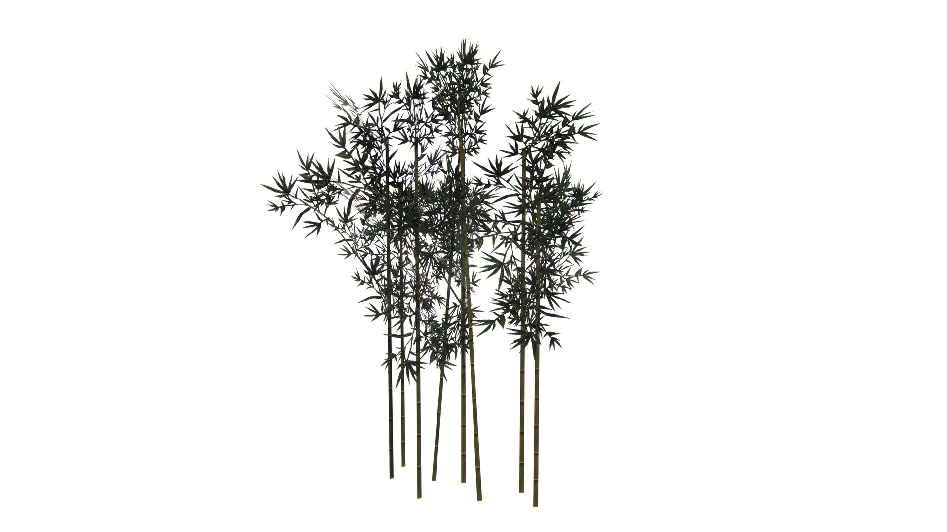 Bamboo Bauhinia Akeana for Landscape Architect ENSCAPE 3D https://p.turbosquid.com/ts-thumb/8o/HWjsce/yT/enscape_20241001205308/png/1727787584/1920x1080/fit_q87/abb0e09cb9723aa7af3a85bd857c5f344bcb56d9/enscape_20241001205308.jpg