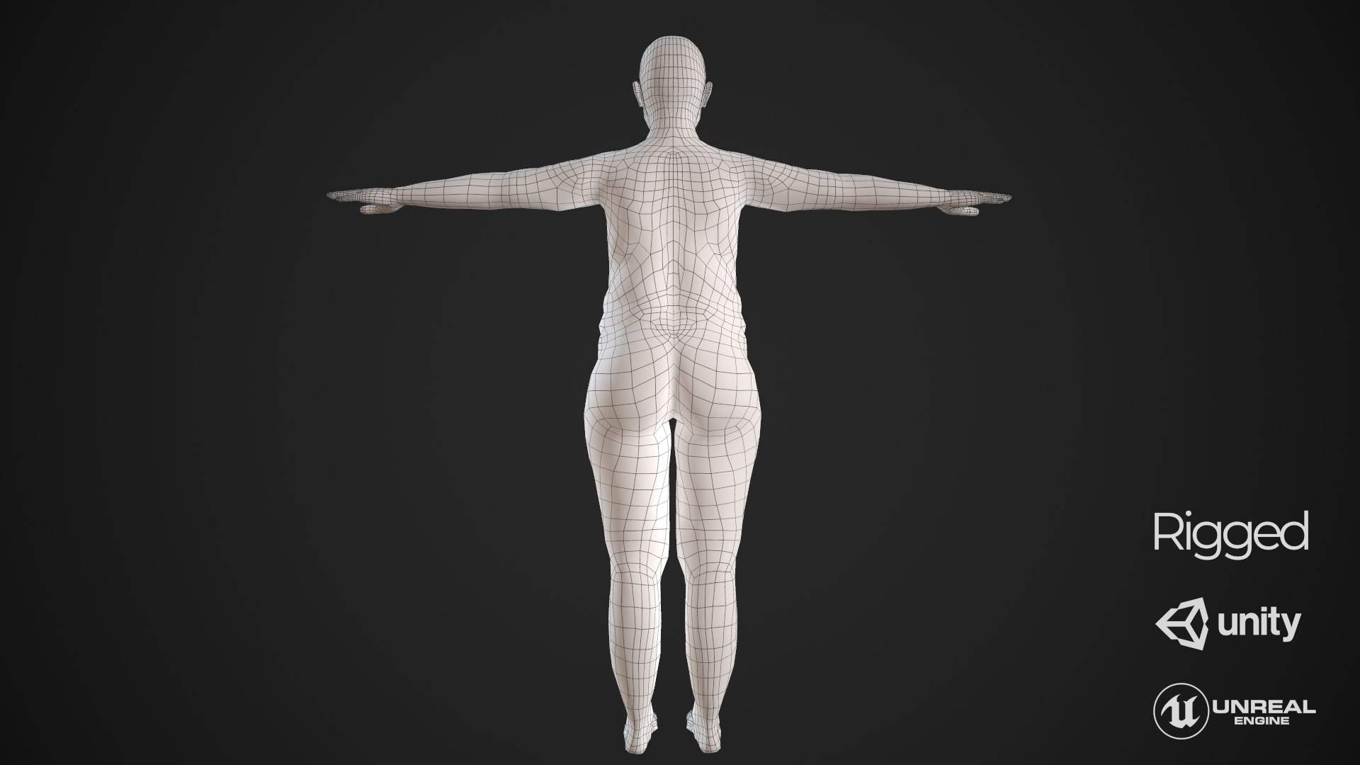 3D Model Base Mesh Basemesh - TurboSquid 1680930