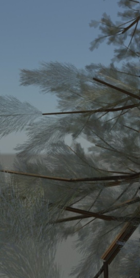 3d model of pine creek https://p.turbosquid.com/ts-thumb/8o/JotVhK/C9sR3h3P/partialpinetree/jpg/1268561353/1920x1080/fit_q87/2f3228694518a995c551cc567a8f019318abb356/partialpinetree.jpg