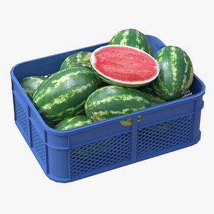 3D Watermelon Plastic Crate