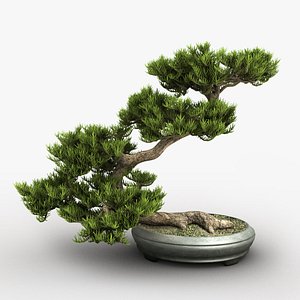 Bonsai