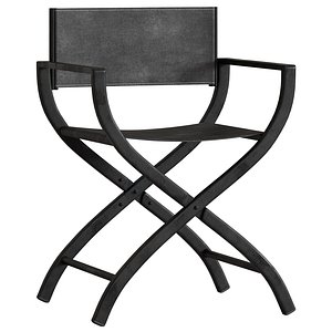1970s French Director Chair