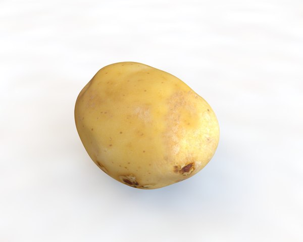 potato 3D model