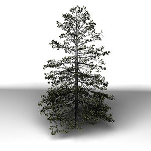 3ds max tree