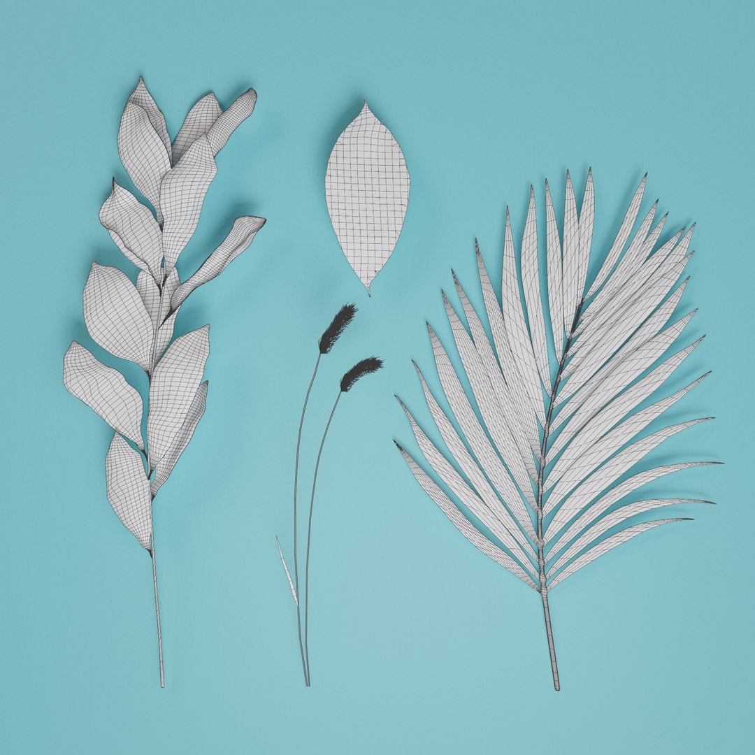 Dried Botanical Set 3D Model - TurboSquid 2394995