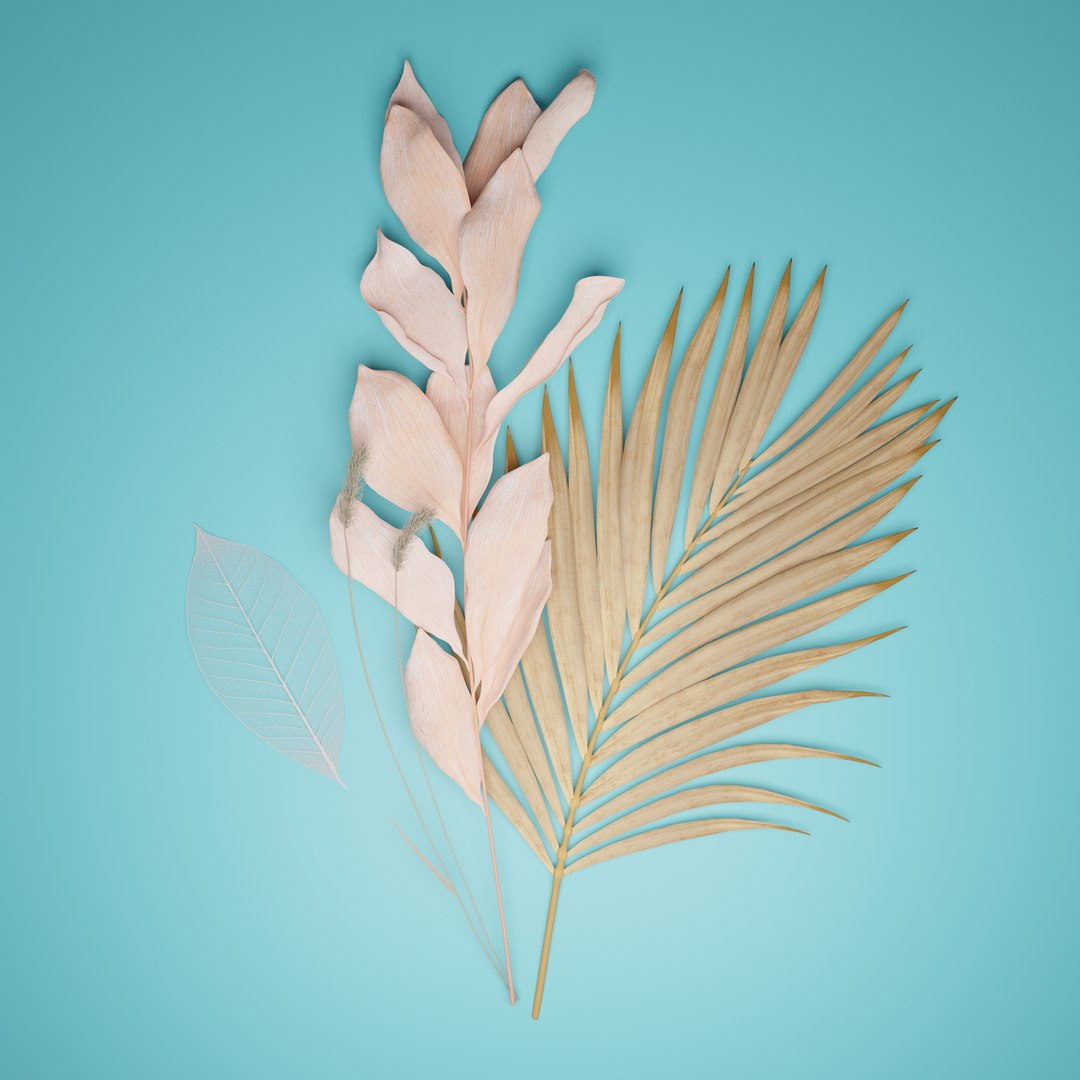 Dried Botanical Set 3D Model - TurboSquid 2394995