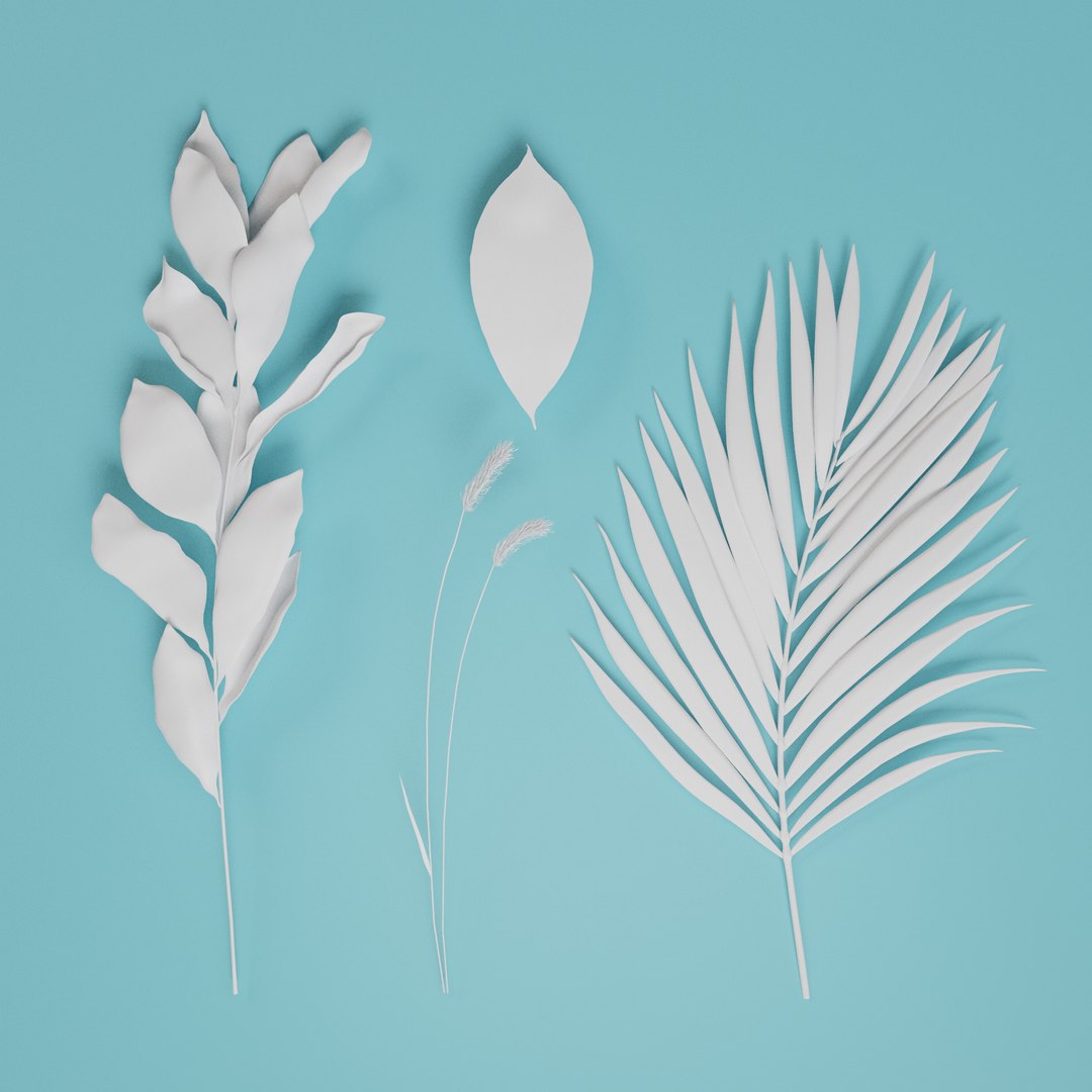 Dried Botanical Set 3D Model - TurboSquid 2394995