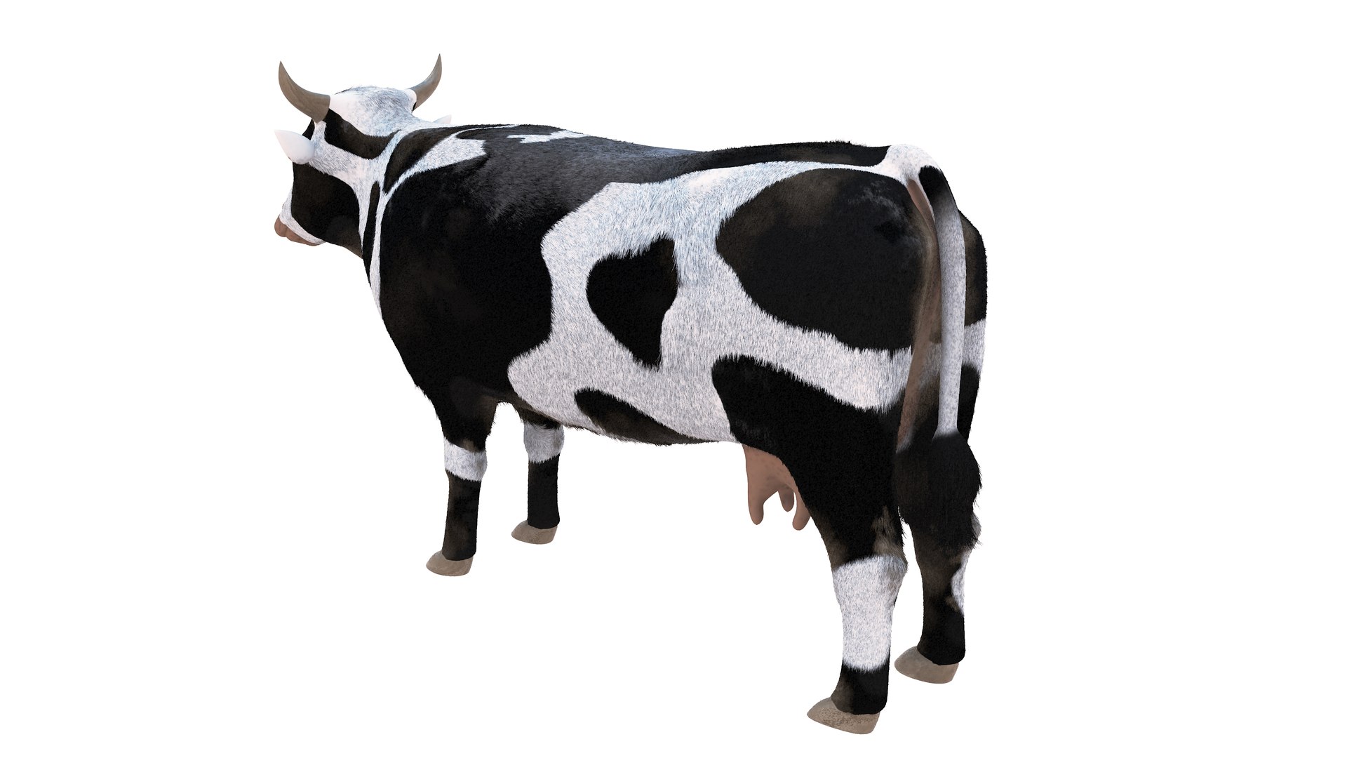 3D Farm Collection 4 model https://p.turbosquid.com/ts-thumb/8p/AfF3lU/02/cow2/jpg/1660298917/1920x1080/fit_q87/1153aa3699c28ea47fe08a794905c613974c8754/cow2.jpg