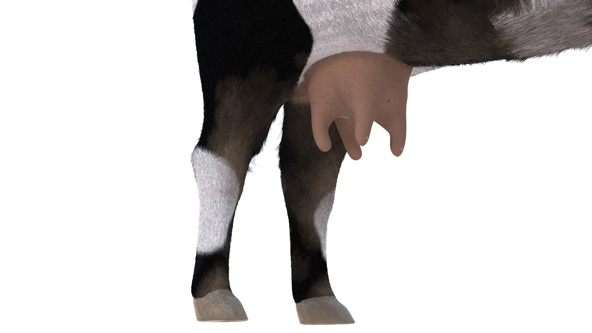 3D Farm Collection 4 model https://p.turbosquid.com/ts-thumb/8p/AfF3lU/4t/cow7/jpg/1660298937/1920x1080/fit_q87/64993fbe7cea566e2812e6db6c455add03d716be/cow7.jpg