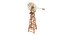Coleção Fazenda 4