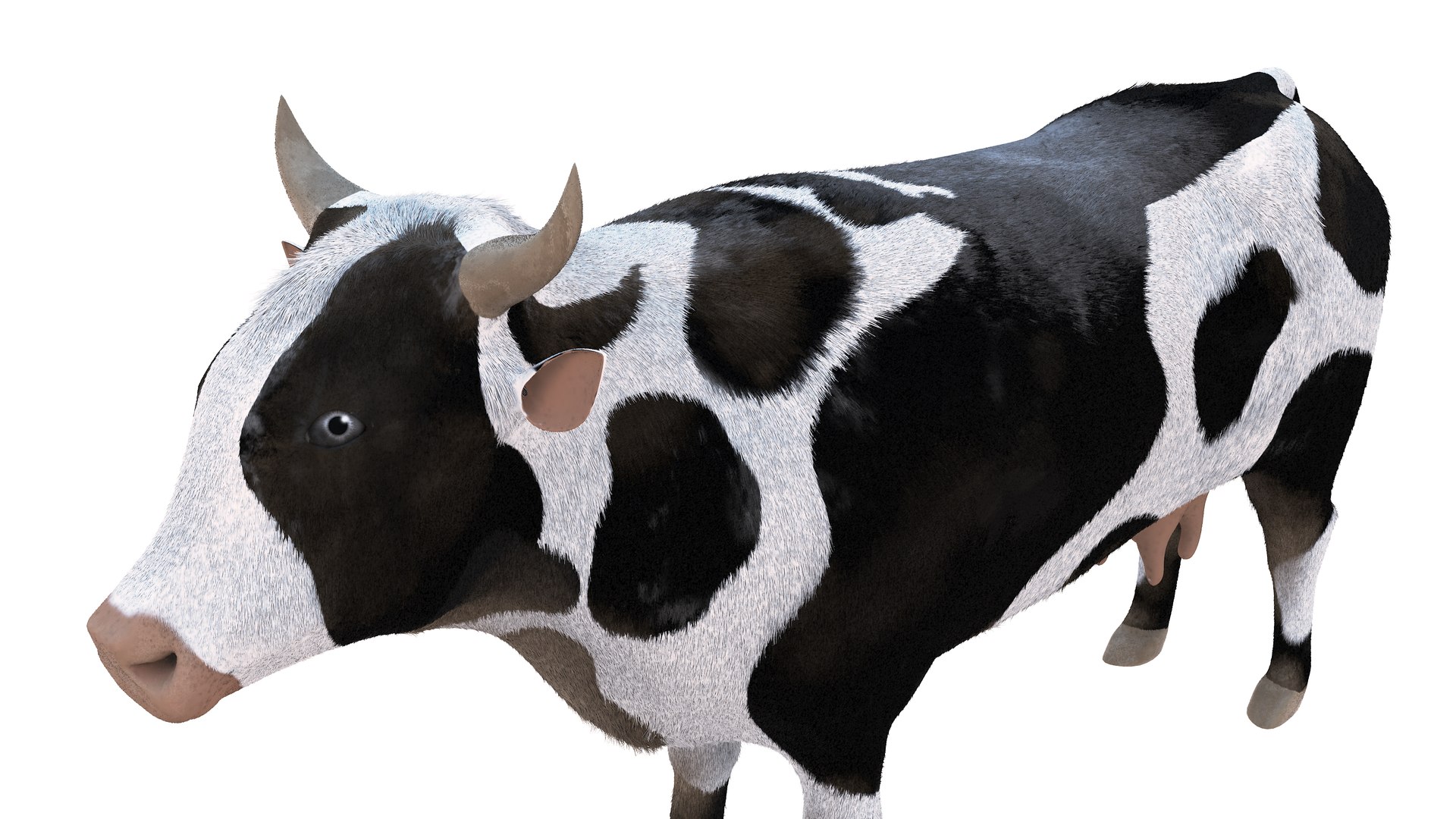 3D Farm Collection 4 model https://p.turbosquid.com/ts-thumb/8p/AfF3lU/AX/cow8/jpg/1660298956/1920x1080/fit_q87/ab9f9c7ddf05d0badceb918ec2c657b47c805920/cow8.jpg