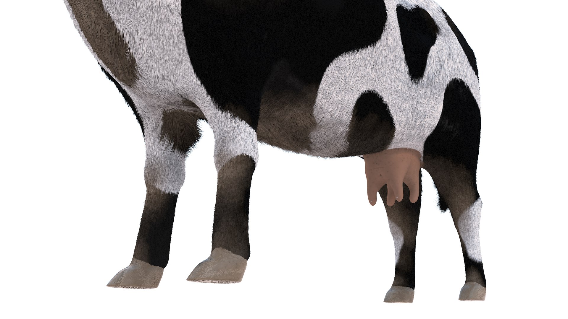 3D Farm Collection 4 model https://p.turbosquid.com/ts-thumb/8p/AfF3lU/IK/cow9/jpg/1660298954/1920x1080/fit_q87/247499fedd281eb71841b5f7d82328c4d37c144e/cow9.jpg