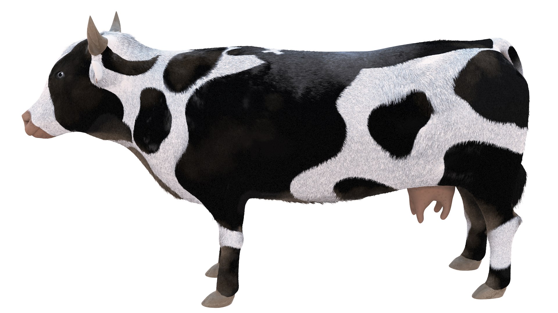 3D Farm Collection 4 model https://p.turbosquid.com/ts-thumb/8p/AfF3lU/O9/cow5/jpg/1660298935/1920x1080/fit_q87/e91c14a81bd313cd5f762273a736c9505b20d952/cow5.jpg