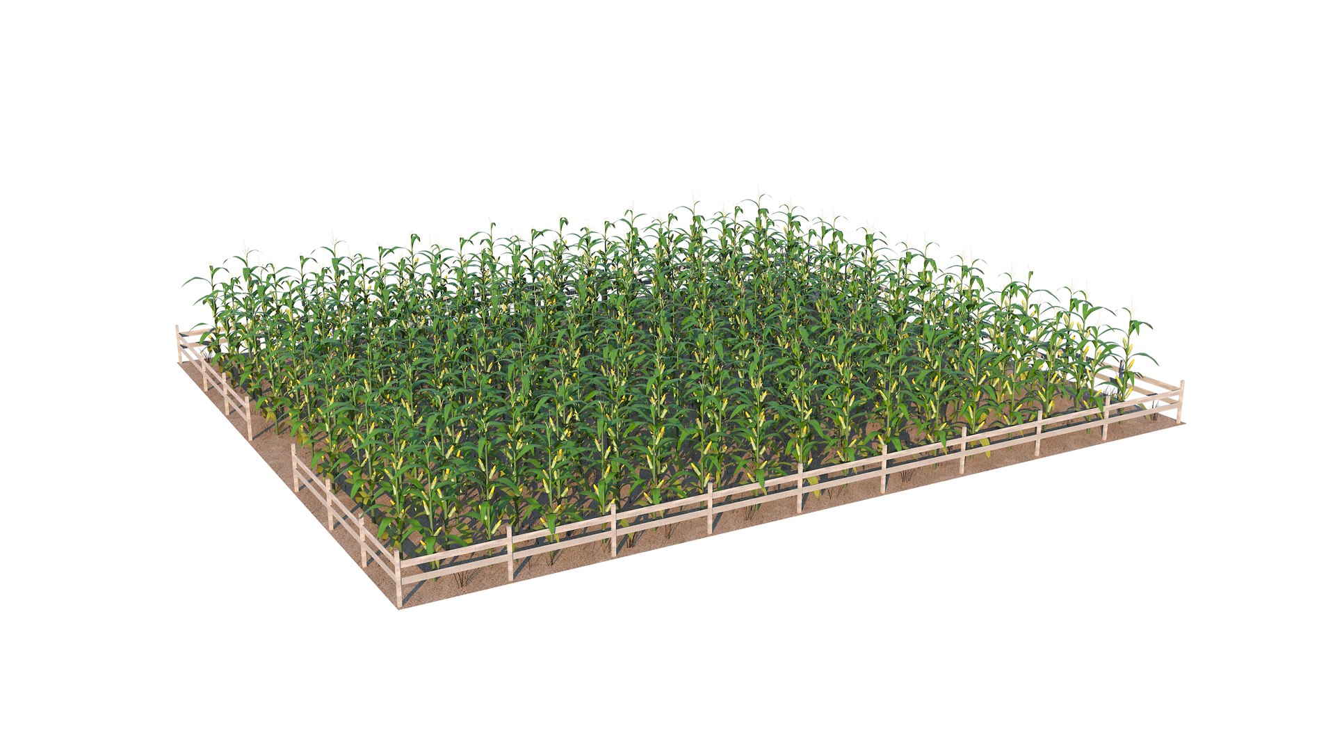 3D Farm Collection 4 model https://p.turbosquid.com/ts-thumb/8p/AfF3lU/Qz/cornfield13/jpg/1660298348/1920x1080/fit_q87/07dd6df875a0ac415ac235e333f57c6253f5d1bb/cornfield13.jpg