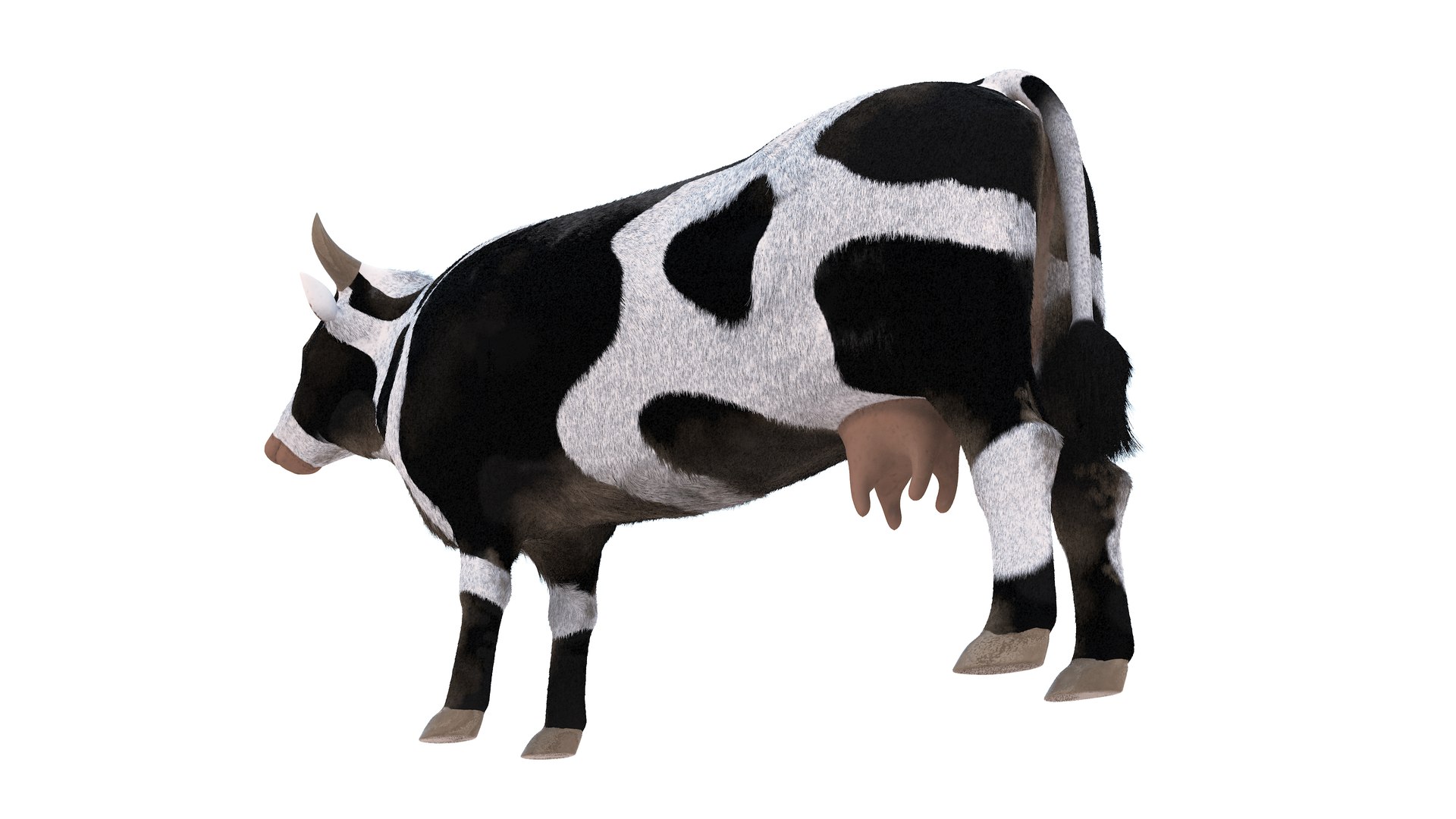 3D Farm Collection 4 model https://p.turbosquid.com/ts-thumb/8p/AfF3lU/Rk/cow12/jpg/1660298967/1920x1080/fit_q87/9f169d04bb3c482a467c812c888f5f815bd1a5e9/cow12.jpg