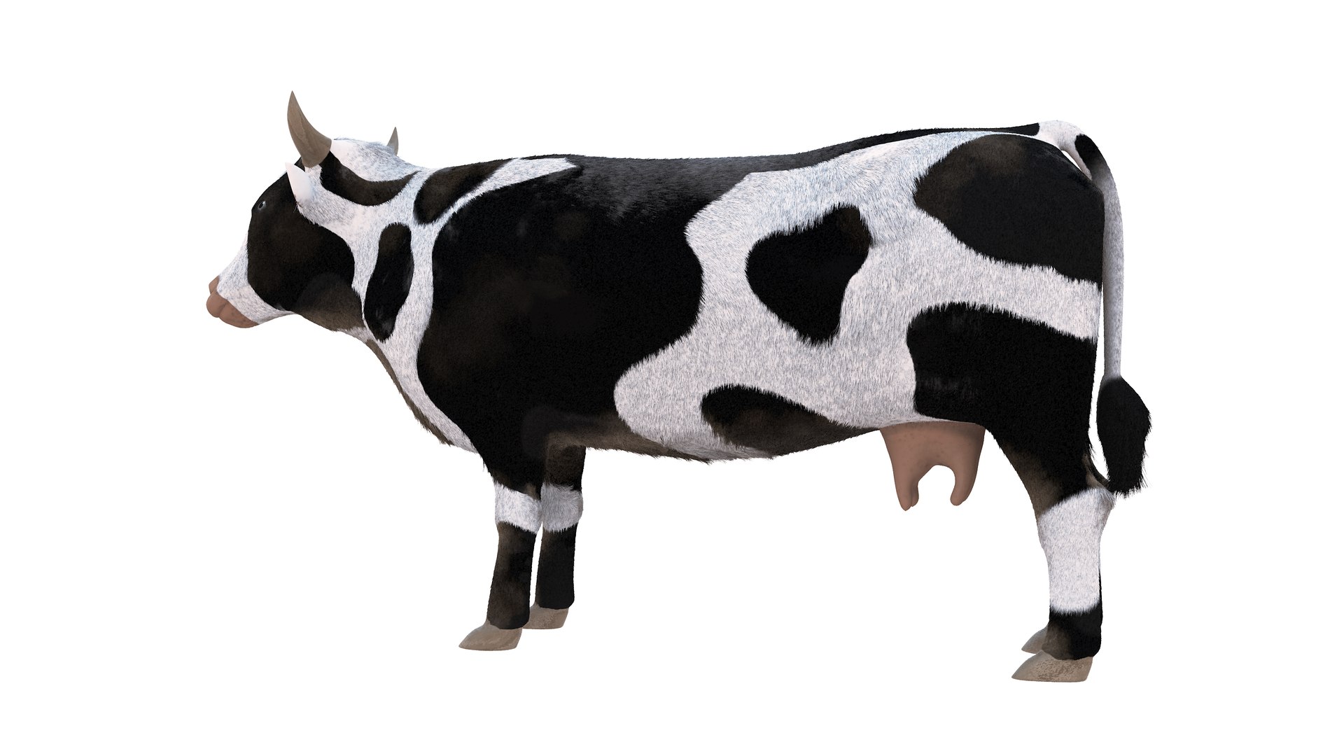 3D Farm Collection 4 model https://p.turbosquid.com/ts-thumb/8p/AfF3lU/cL/cow11/jpg/1660298968/1920x1080/fit_q87/f4d5d97d6aa132ff08c121385526daf846f27729/cow11.jpg